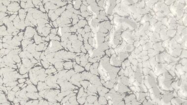 White Vein